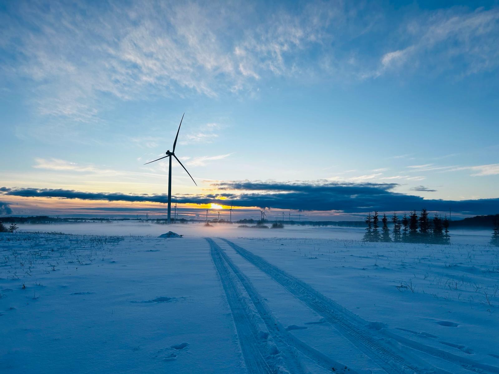 Snow-covered wind farm with access road